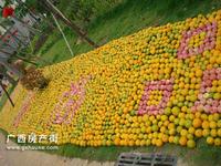 活动图片