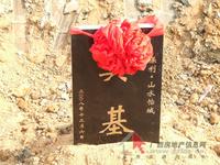活动图片