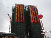 各界贺紫金街开盘