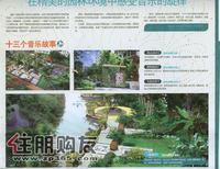 广告欣赏