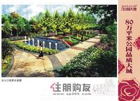 效果图