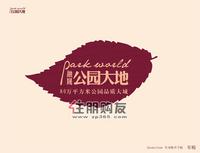广告欣赏