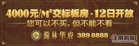 广告欣赏