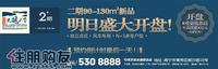广告欣赏
