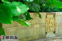 实景图