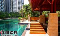 实景图