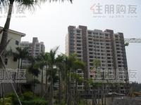 2009年11月8日实景图
