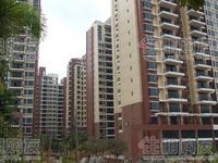 2009年11月8日实景图