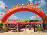 中房碧翠园首期开盘