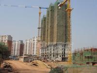 2010年1月8日实景图