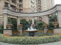 实景图2010.01.16