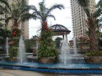实景图2010.01.16