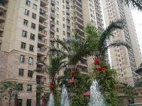 实景图2010.01.16