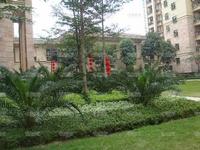 实景图2010.01.16