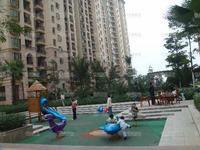 实景图2010.01.16
