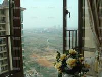 实景图 2010.01.16