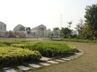 2010年1月16日实景