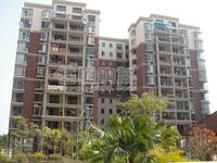 2010年1月16日实景