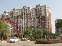 2010年1月16日实景