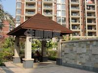 2010年1月16日实景