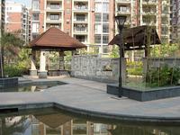 2010年1月16日实景