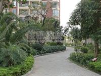 2010年1月16日实景