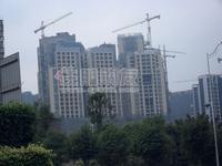 2010年1月16日实景