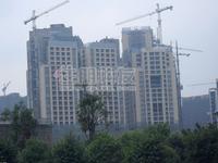 2010年1月16日实景