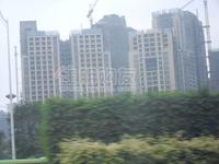 2010年1月16日实景