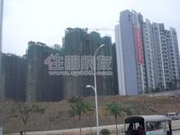 2010年1月16日实景