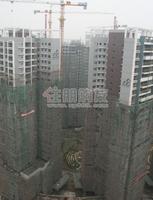 2010.1.19实景图