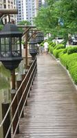 莱茵湖畔