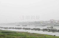 红日江景