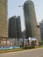 2010.2.22实景