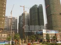 2010.2.22实景