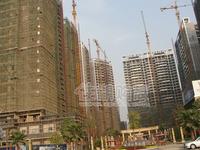 2010.2.22实景