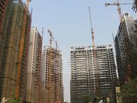 2010.2.22实景