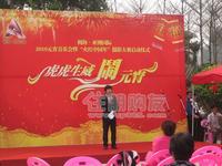 2010元宵游园活动