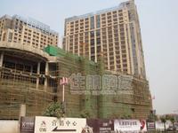 2010.2.28实景图