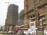 2010.2.28实景图