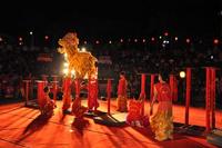 八桂绿城2010元宵感恩