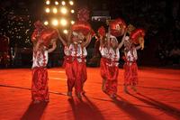 八桂绿城2010元宵感恩