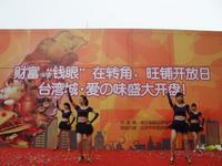 台湾城14日盛大开盘