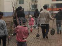 祈福城小区植树活动
