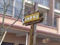 凤岭娱人码头实景图