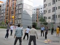 恒丰国际业主排球比赛