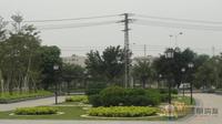 公园大地3月27实景