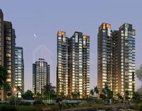 汇东星城夜景透视图