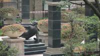 4月16日园林实景