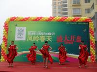 凤岭春天10.04.18开盘